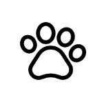 pet paw