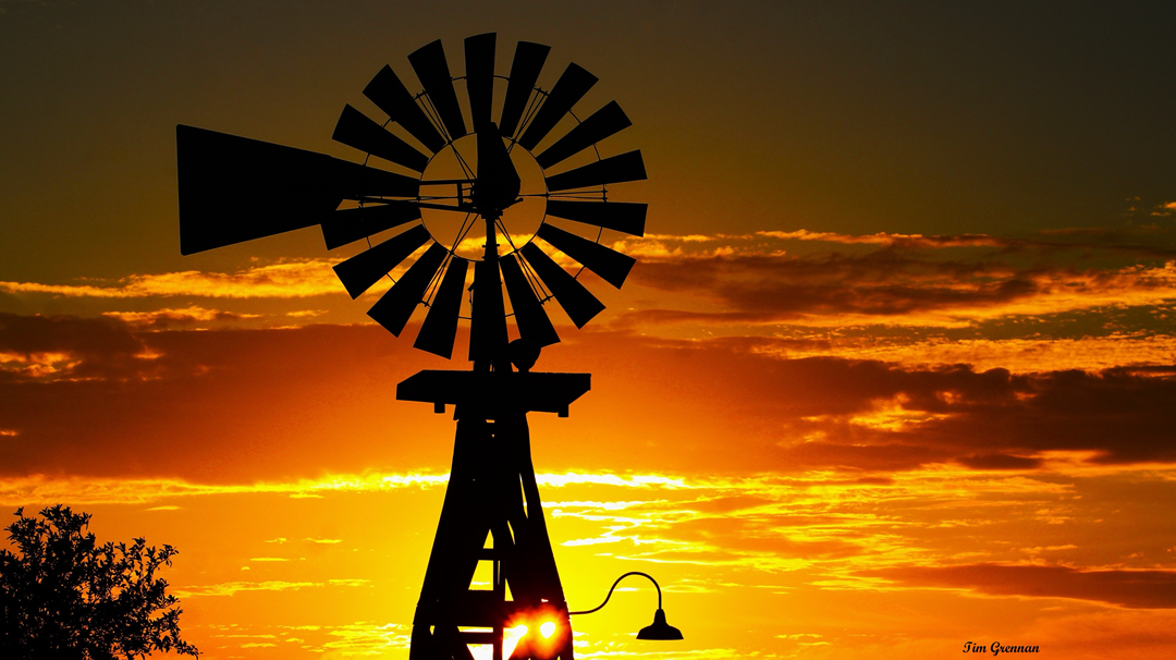 Windmill Sunrise Tim Grennan