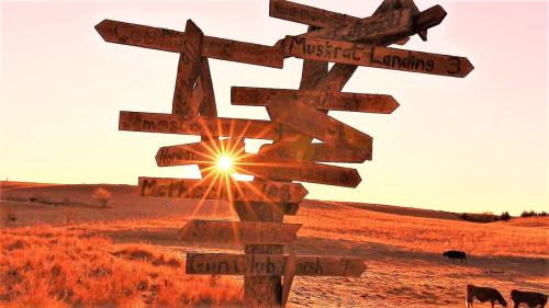 Sign Post at Dawn